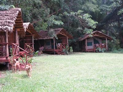 Simbamwenni Lodge And Camping Morogoro Eksteriør billede