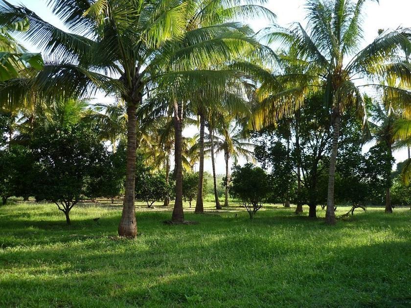 Simbamwenni Lodge And Camping Morogoro Eksteriør billede